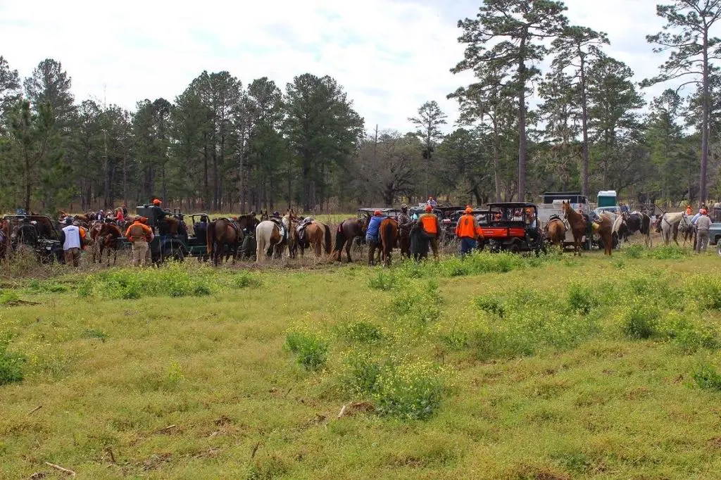 The full line of horses and rigs at the trailers
