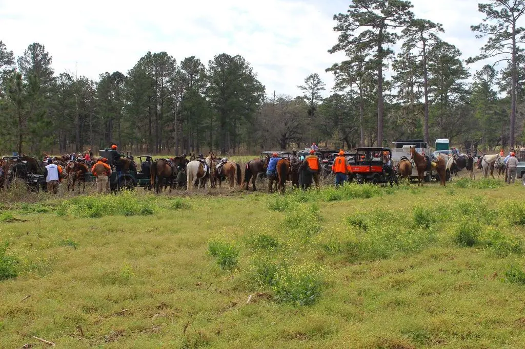 The gallery staging at the trailers across the food plot