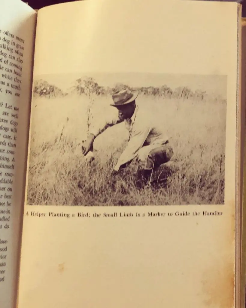 Book plate — a helper planting a bird in the grass, the small limb a marker for the handler