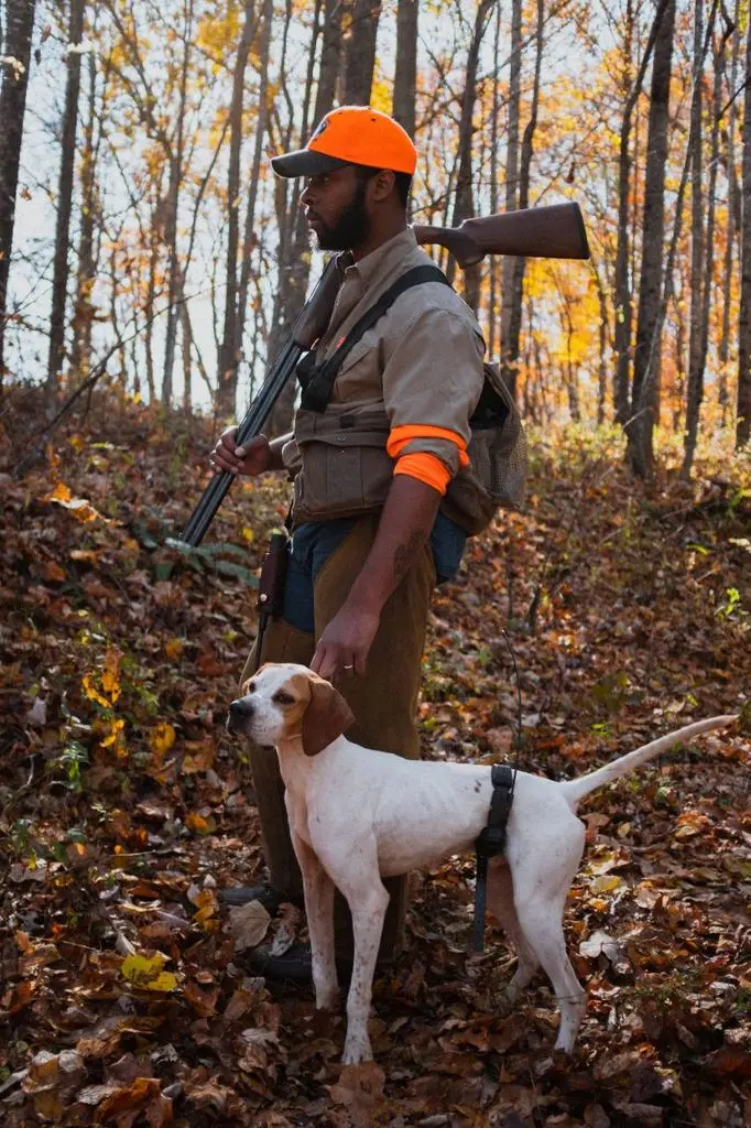 Hunter with shotgun shouldered and pointer at heel in fall hardwoods