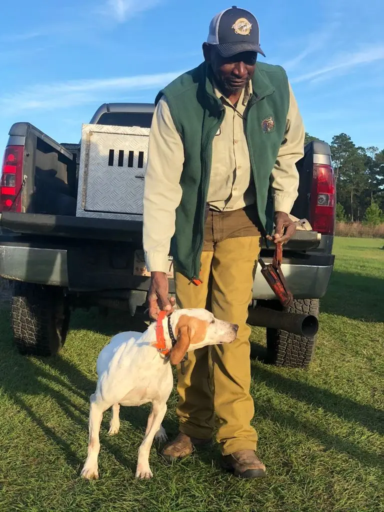 Mentor collaring a pointer at the tailgate