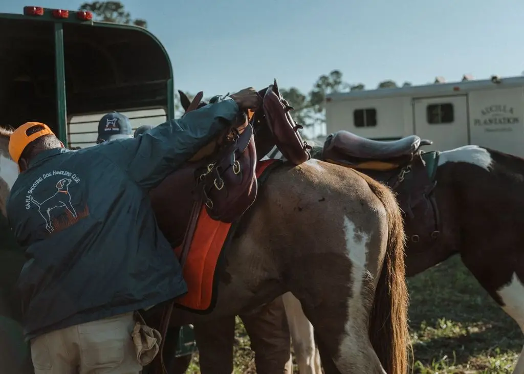 Saddling a horse in a GA-FLA Shooting Dog Handlers Club jacket