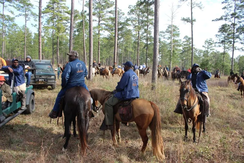 Trailers and riders staging in the pines