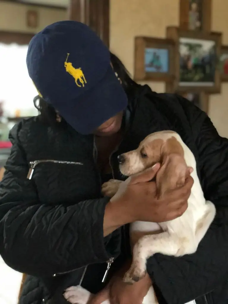 Holding the pointer puppy indoors