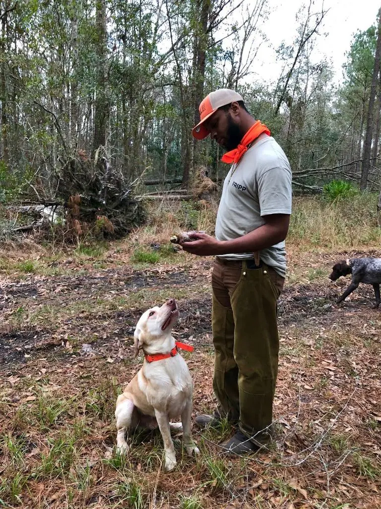 Crossing a downed log over the creek with the Lab
