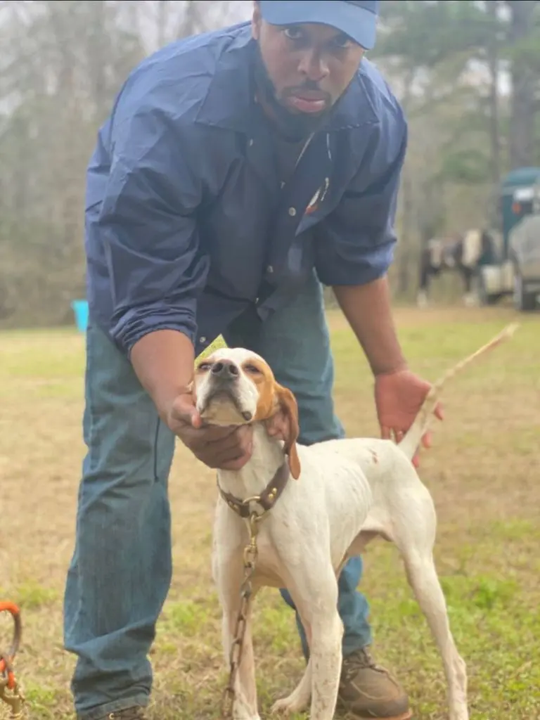 Styling the pointer up for the judges