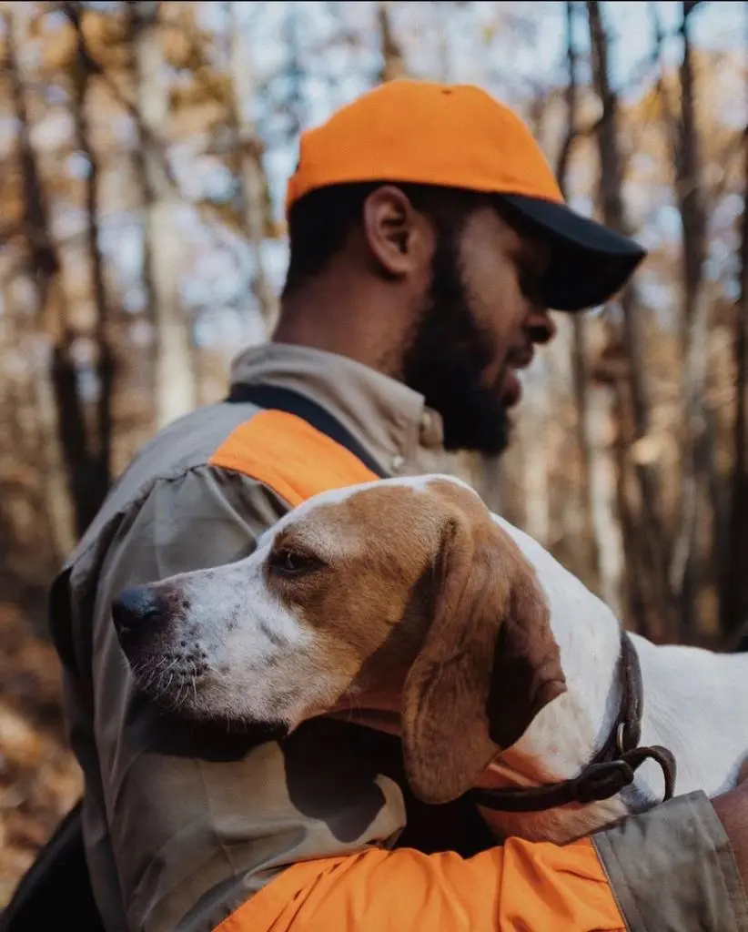Pointer carried in arm through the fall woods