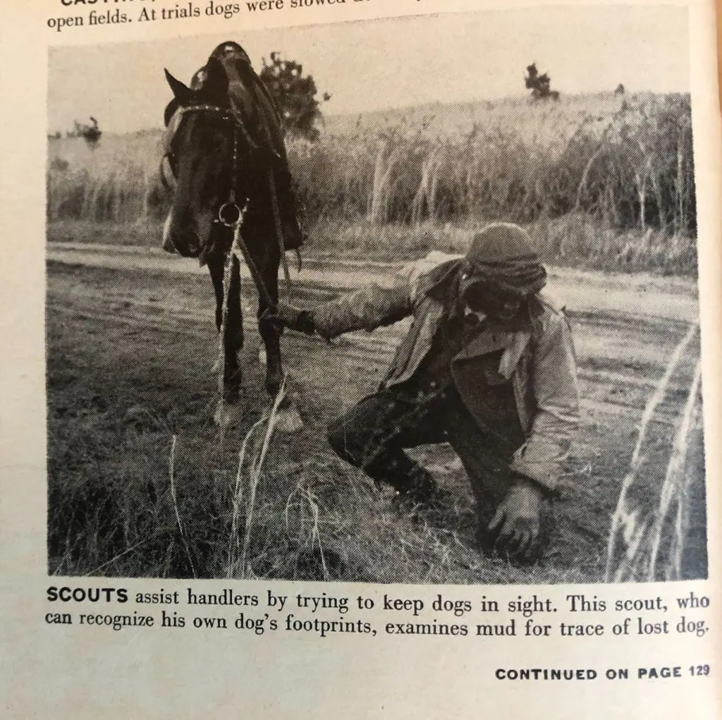LIFE page — a scout kneeling to read his dog’s footprints in the mud, horse standing by