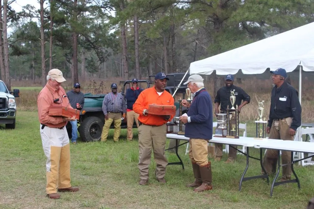 A pointer working the line with the handler afoot