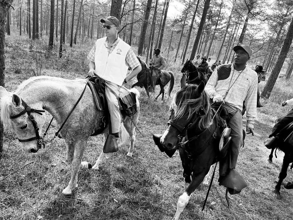 Two riders leading the gallery through the pines